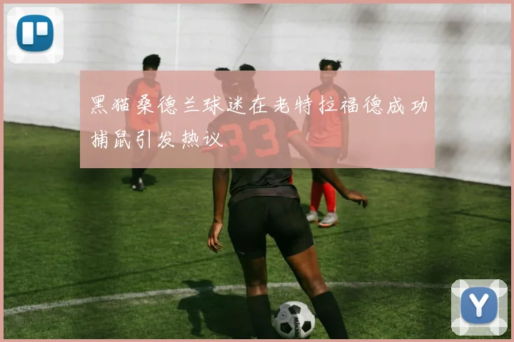黑猫桑德兰球迷在老特拉福德成功捕鼠引发热议